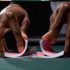 Игральные карты бумаги Фоурнир Но.818 отметили плутовку покера невидимых чернил